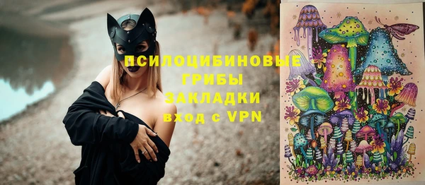 ГАЛЛЮЦИНОГЕННЫЕ ГРИБЫ Валуйки