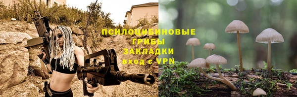 скорость Нязепетровск